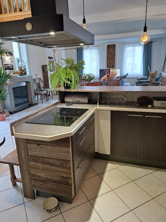 Gite Redrooster Home - 160M2, 4 Ch, 2 Sdb, Fibre, Parking, Sauna, Bain A Remous Theys Ngoại thất bức ảnh